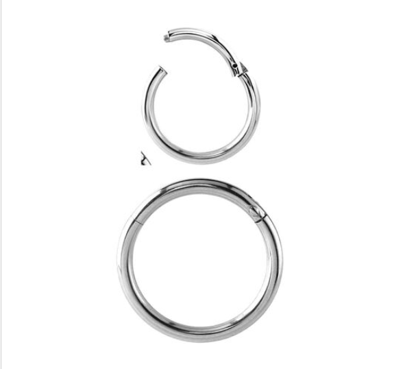High Quality Precision Hinged Segment Rings (18g)