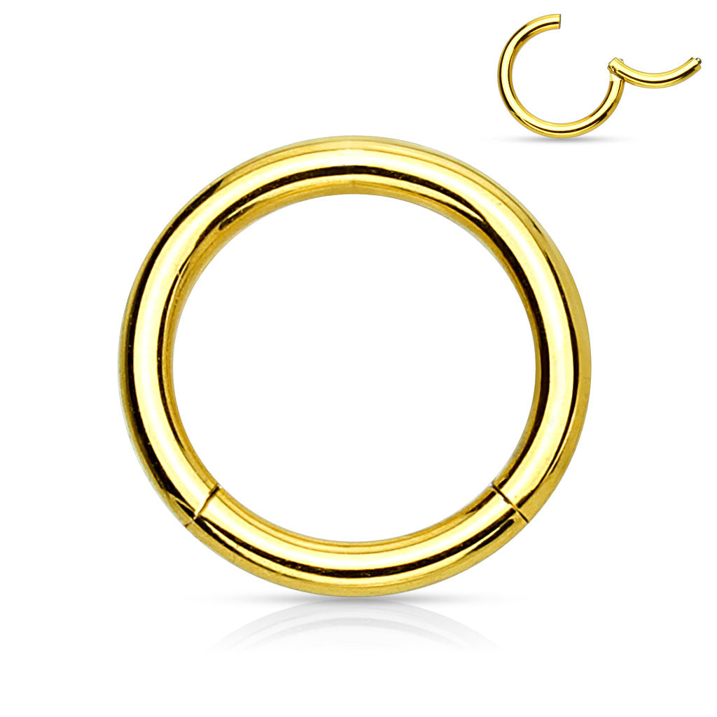 High Quality Precision Hinged Segment Rings (20g)