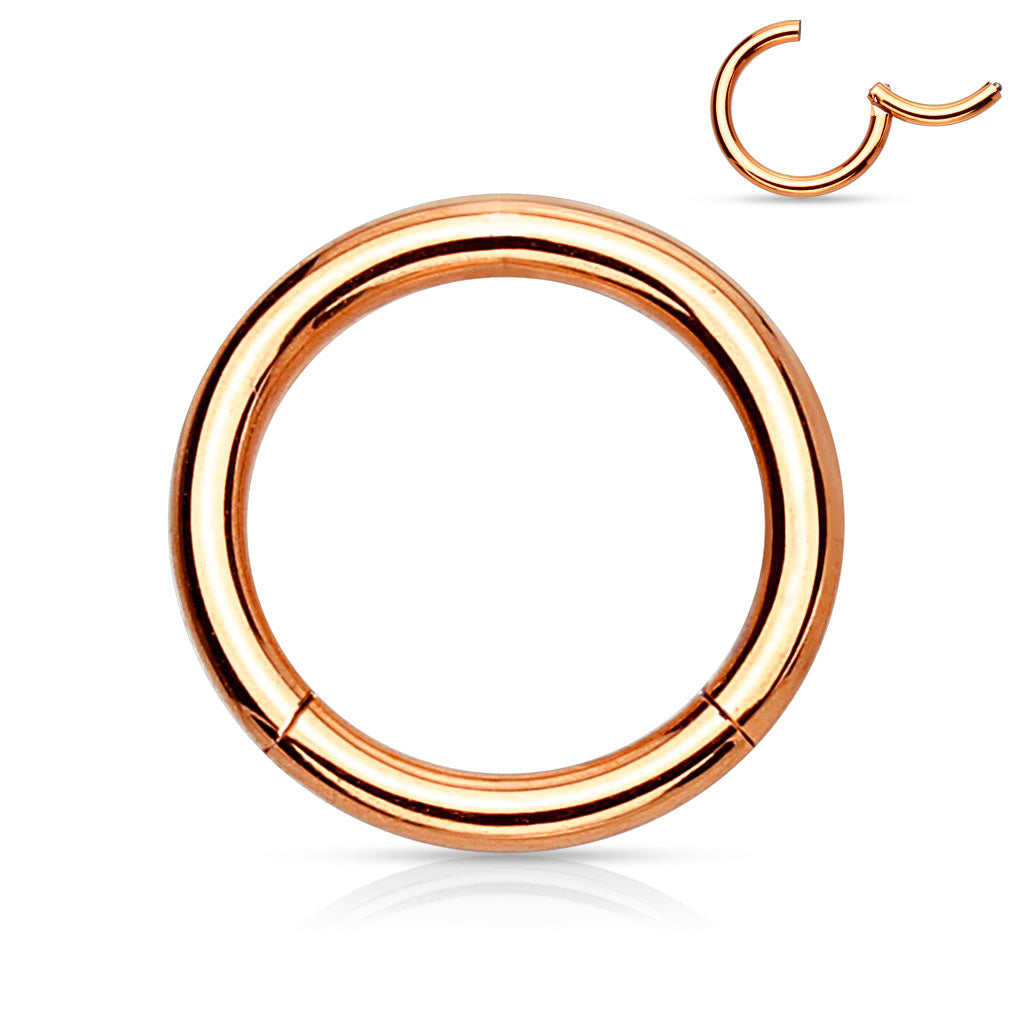 High Quality Precision Hinged Segment Rings (20g)