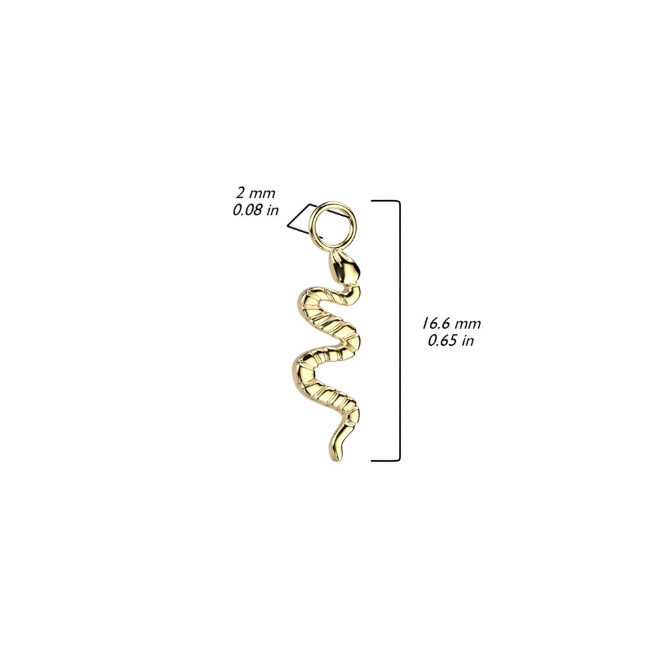 Snake Charm