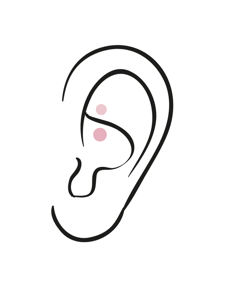 Rook