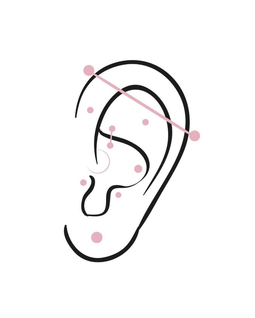 Ear